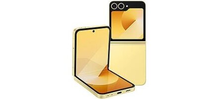 Z Flip6 F741B