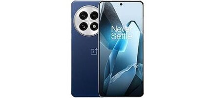 OnePlus 13