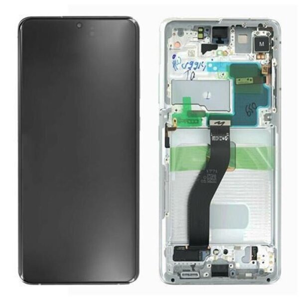 Samsung Galaxy S21 Ultra G998B Amorled Display Touchscreen Bildschirm Rahmen Phantom Silber