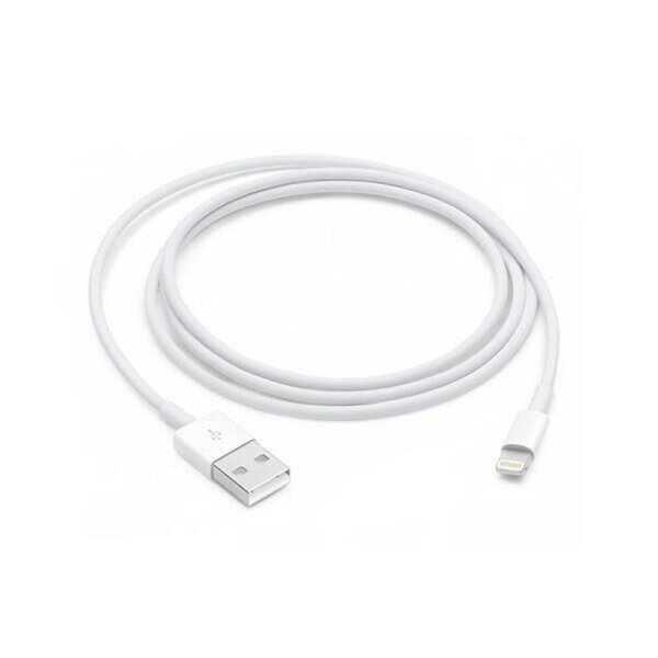 Original Apple Ladekabel