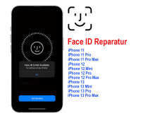 iPhone FaceID TrueDepth DOT Kamera Reparatur 11/ 11 Pro...