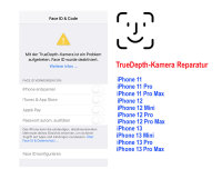 iPhone FaceID TrueDepth DOT Kamera Reparatur 11/ 11 Pro /11 Pro Max /12 /12 Mini /12 Pro / 12 Pro Max /13 /13 Mini /13 Pro /13 Pro Max